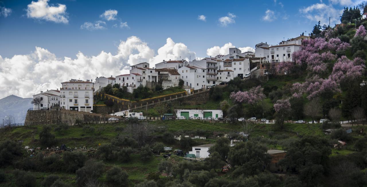 Casa La Puente Villa Jubrique ภายนอก รูปภาพ
